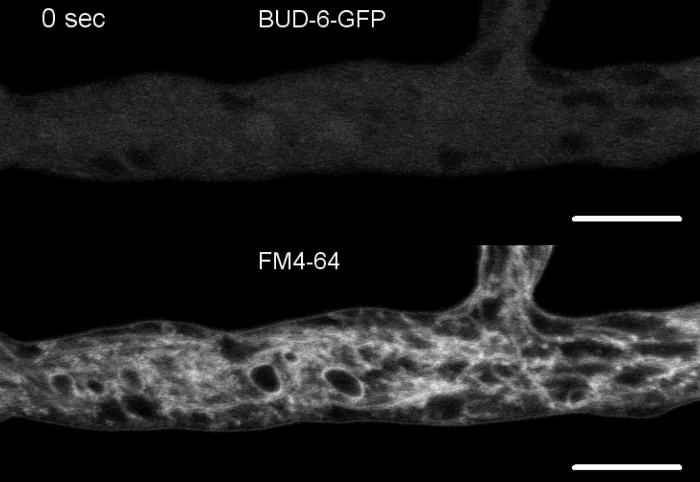 figure-representative results-21696