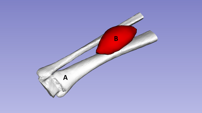 figure-representative results-4129