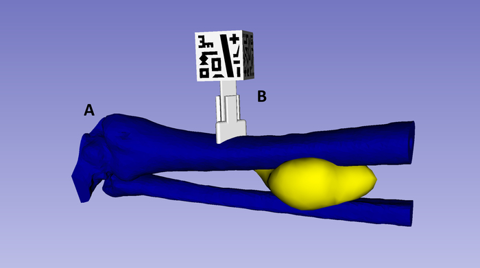 figure-representative results-5285