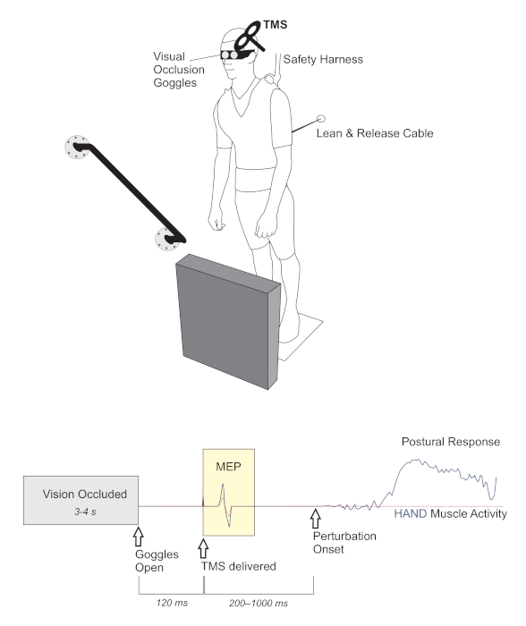 figure-protocol-11409