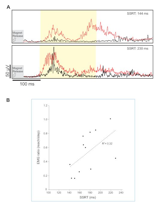 figure-representative results-3190