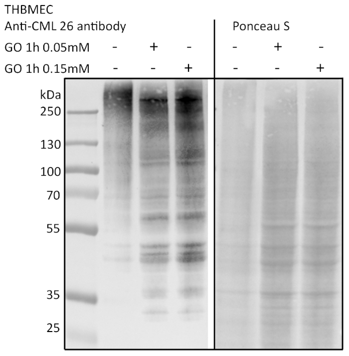 figure-representative results-2516