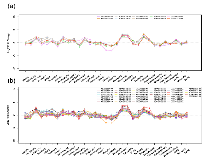 figure-results-5882