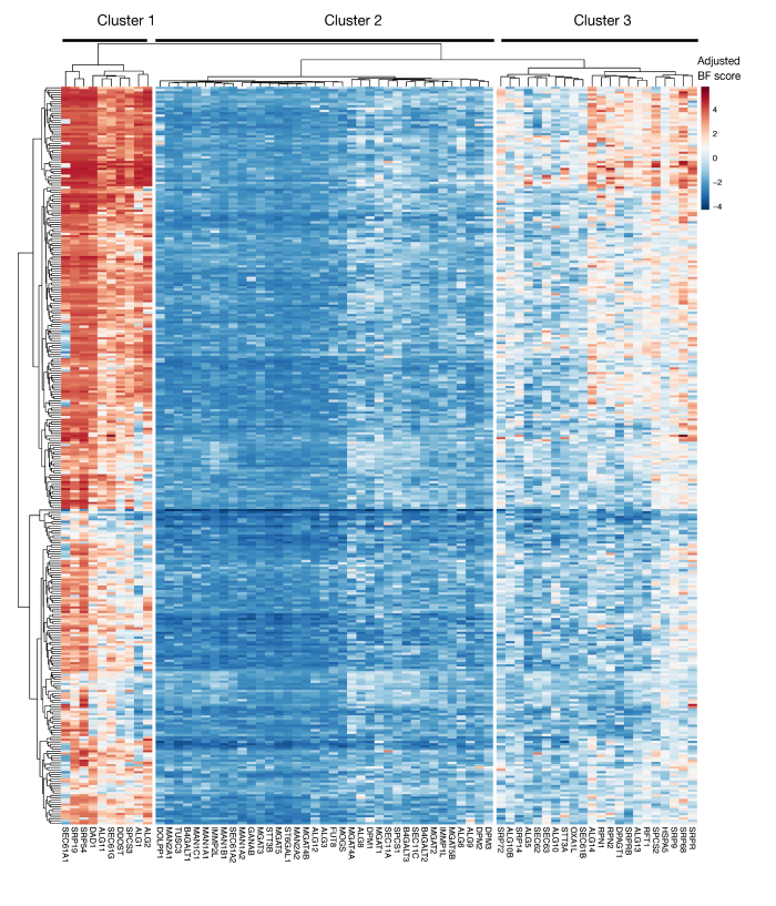 figure-representative results-21611