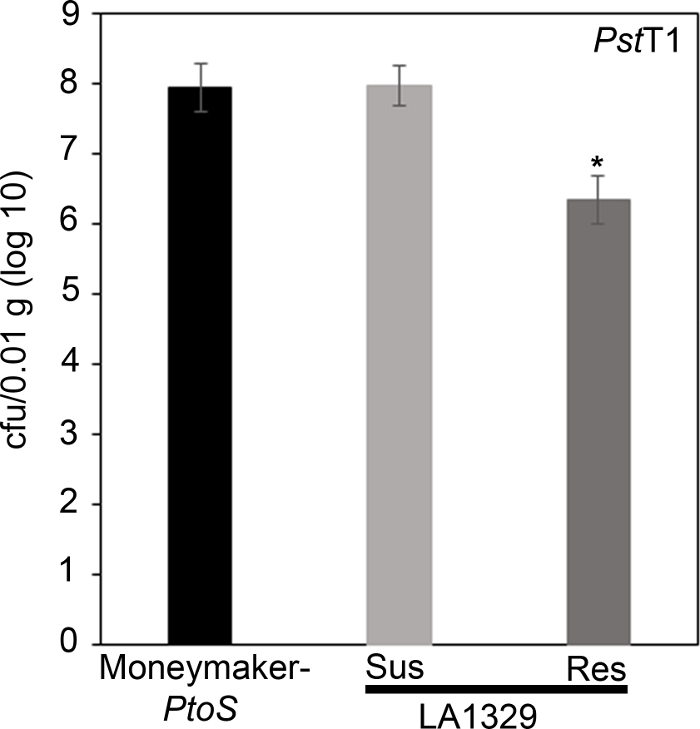 Figure 7