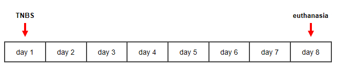 figure-protocol-636