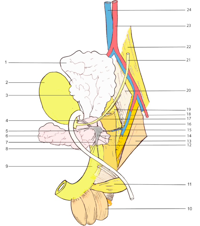 figure-results-1972
