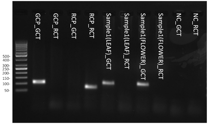 figure-representative results-10512