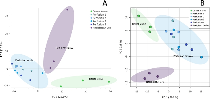 figure-representative results-2239