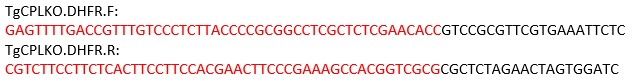 figure-protocol-12543