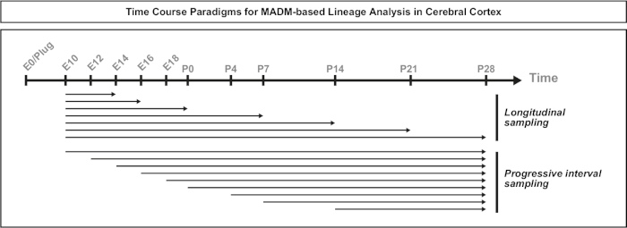 figure-representative results-13369