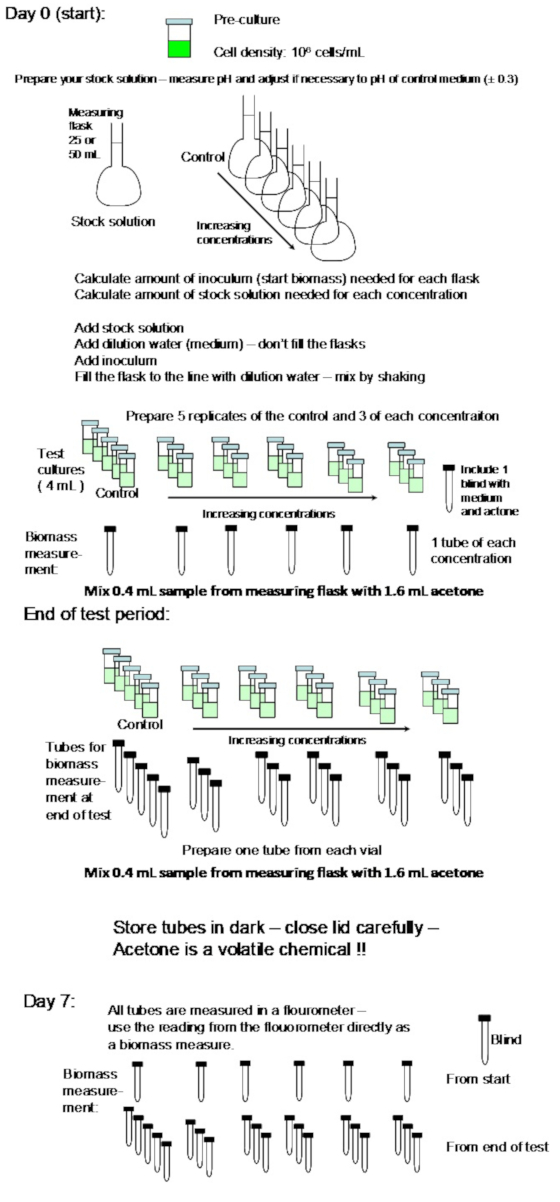figure-protocol-7348
