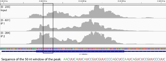 figure-representative results-4695