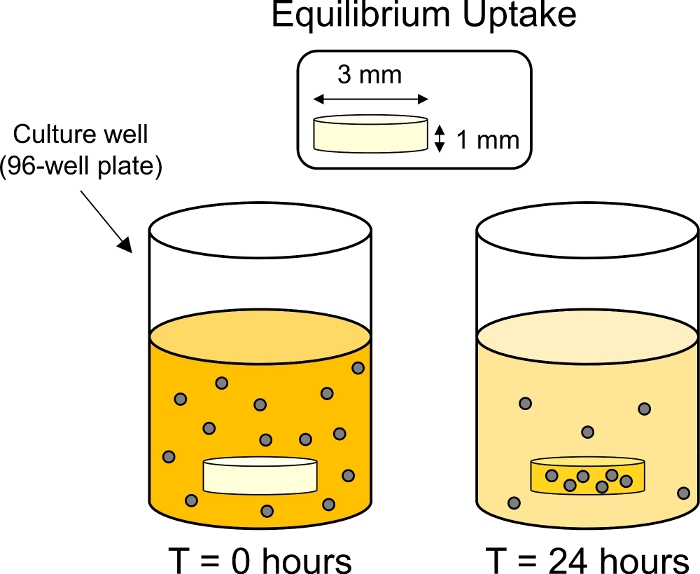 figure-protocol-4785