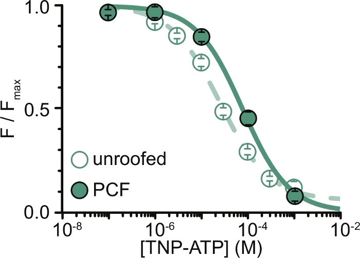 figure-representative results-17730