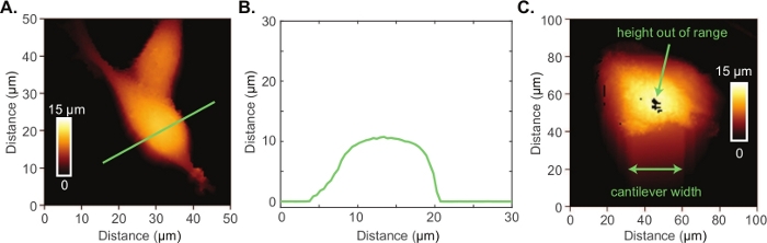 figure-representative results-4820