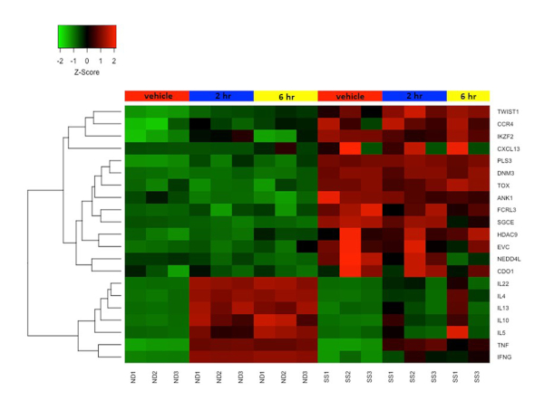 figure-representative results-4148