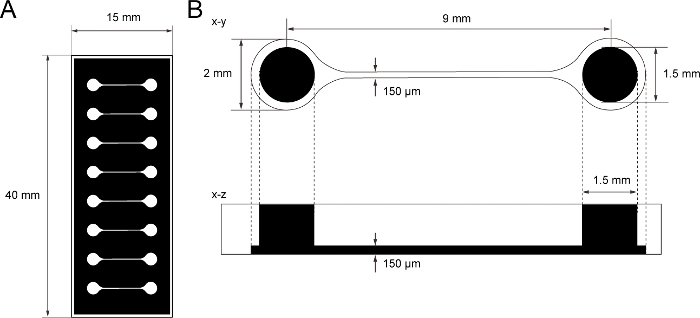 figure-representative results-2641