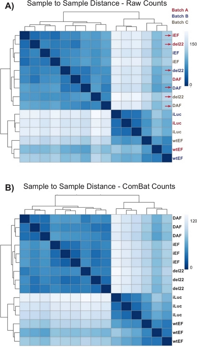 figure-representative results-10169