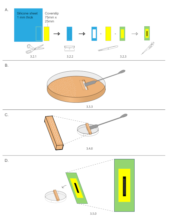 figure-protocol-9923