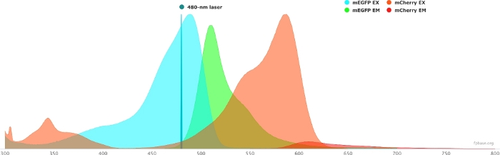 figure-representative results-4058