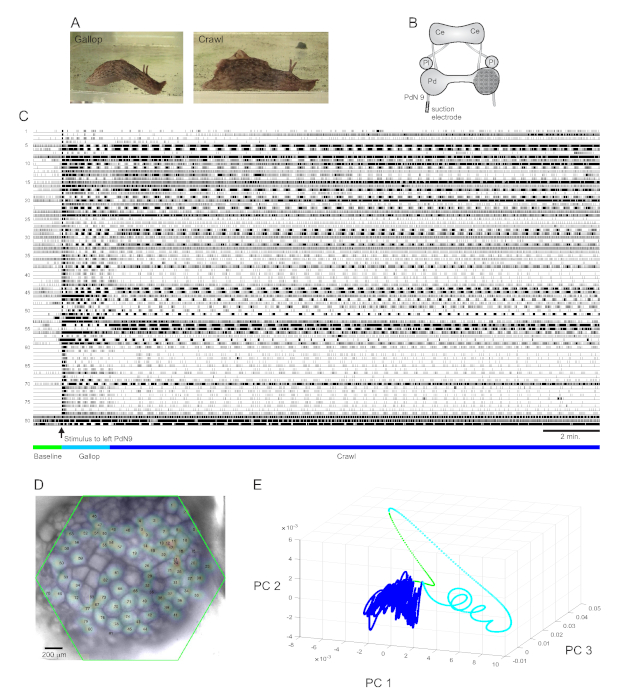 figure-representative results-9022