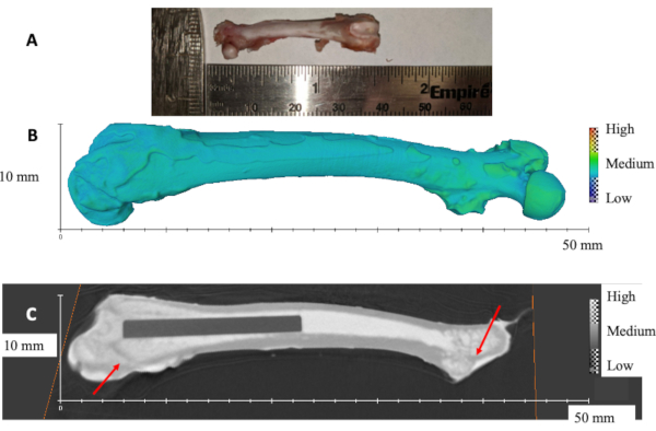 figure-representative results-5690