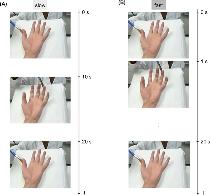 figure-representative results-5610