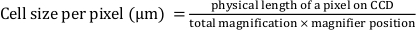 figure-protocol-7237