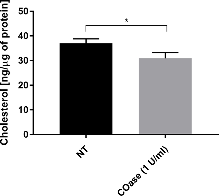 figure-representative results-6250