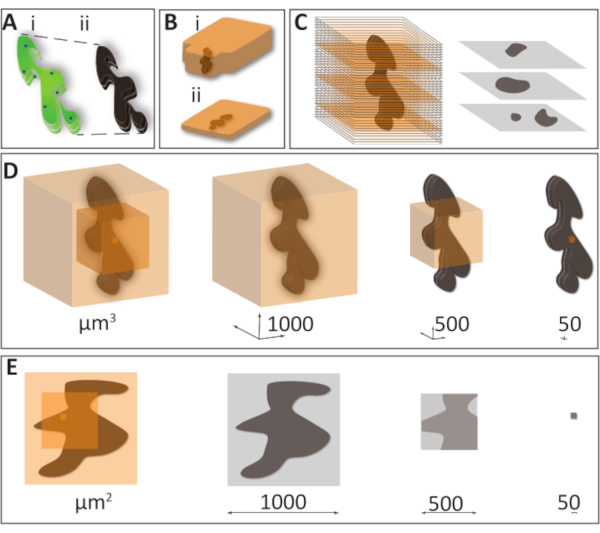 figure-representative results-13805