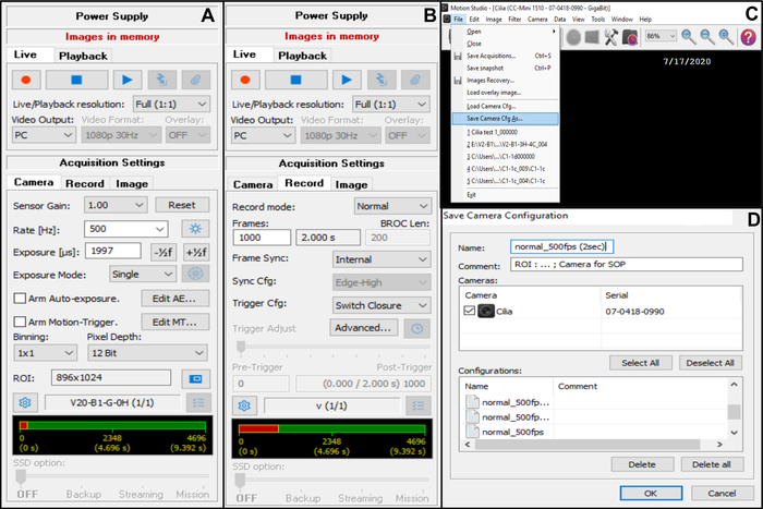 figure-protocol-25519