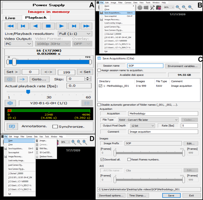 figure-protocol-32502