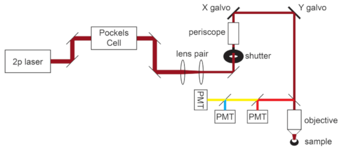 figure-representative results-5026