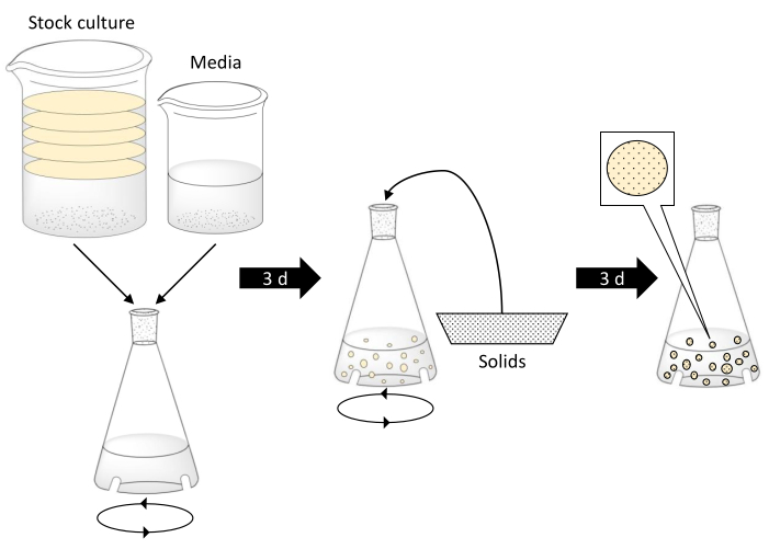figure-protocol-5526