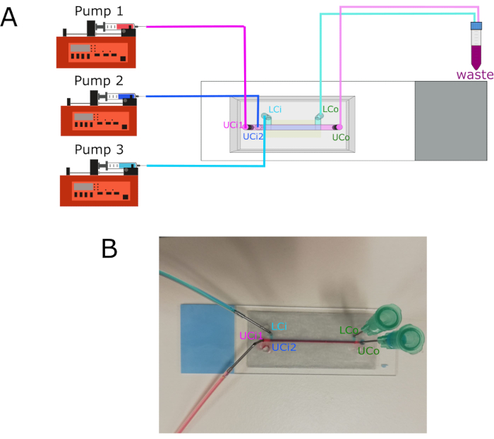 figure-protocol-6578