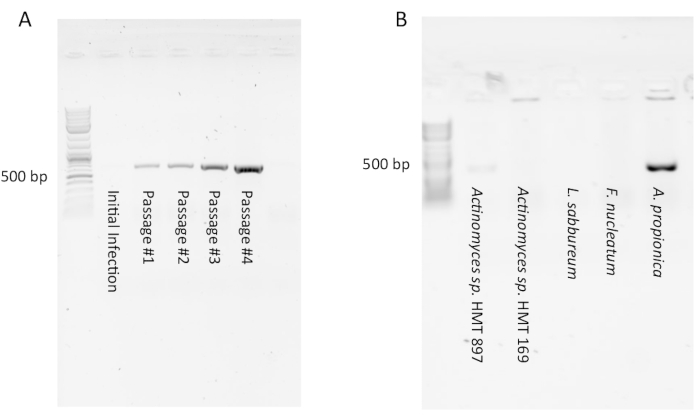 figure-representative results-3845