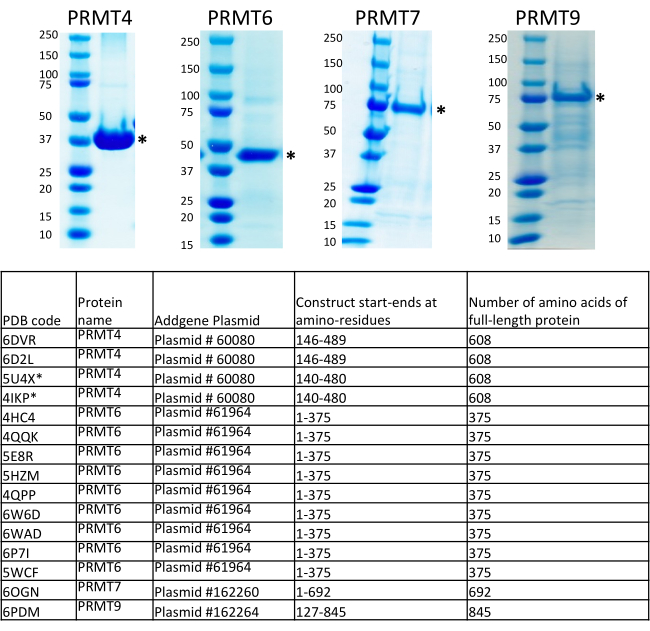 figure-results-7674