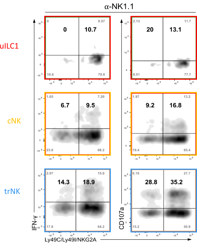 figure-representative results-11166