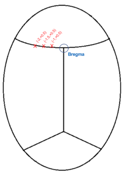 figure-protocol-3546
