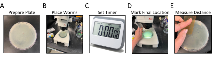 figure-results-2663