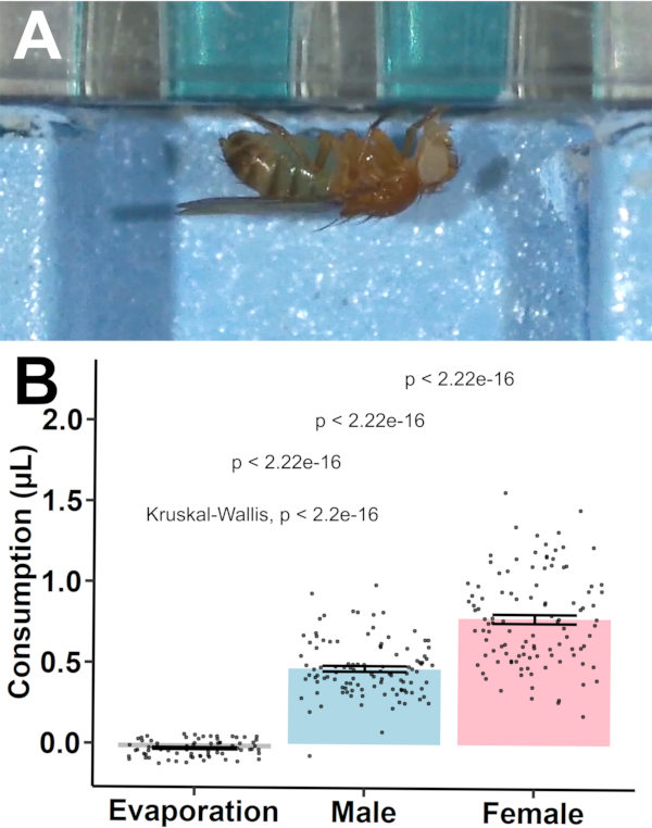 figure-representative results-2142