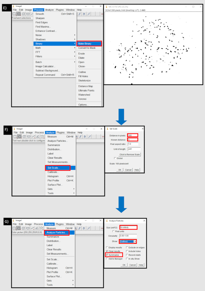 figure-protocol-13601