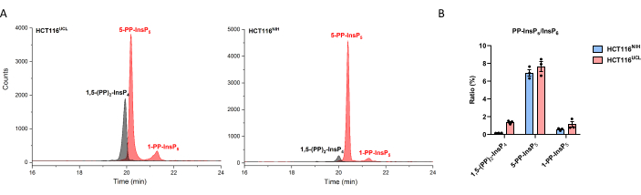 figure-representative results-5465