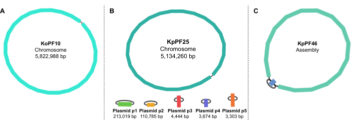 figure-representative results-5548