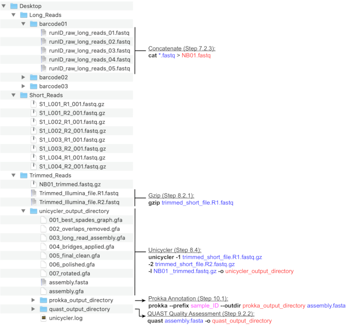 figure-representative results-4748