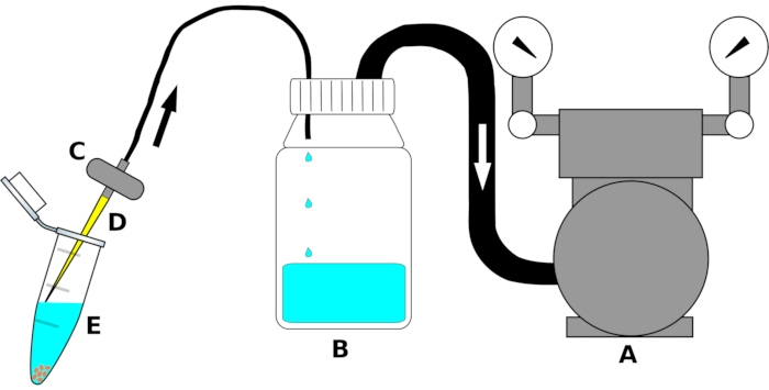 figure-protocol-2454