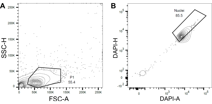 figure-representative results-5527