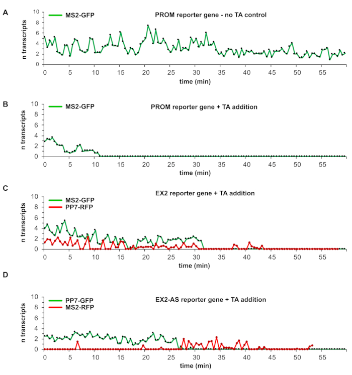 figure-representative results-11738