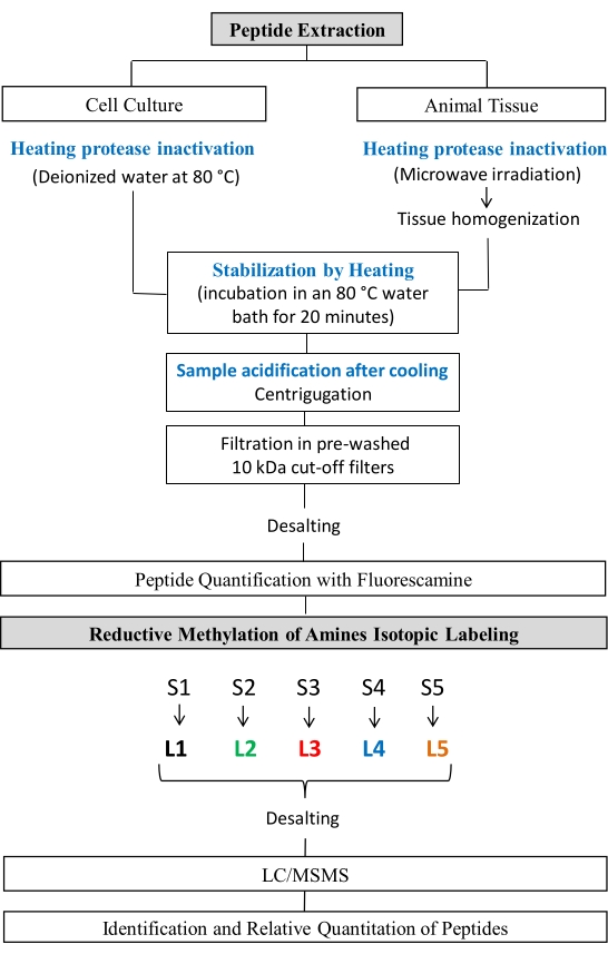 figure-protocol-17980